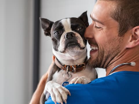 Veterinario y perro